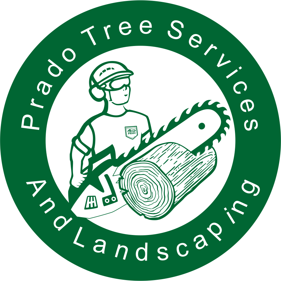 Prado Tree Services and Landscaping